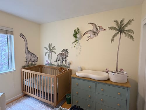Customer photo review of Dino Giants