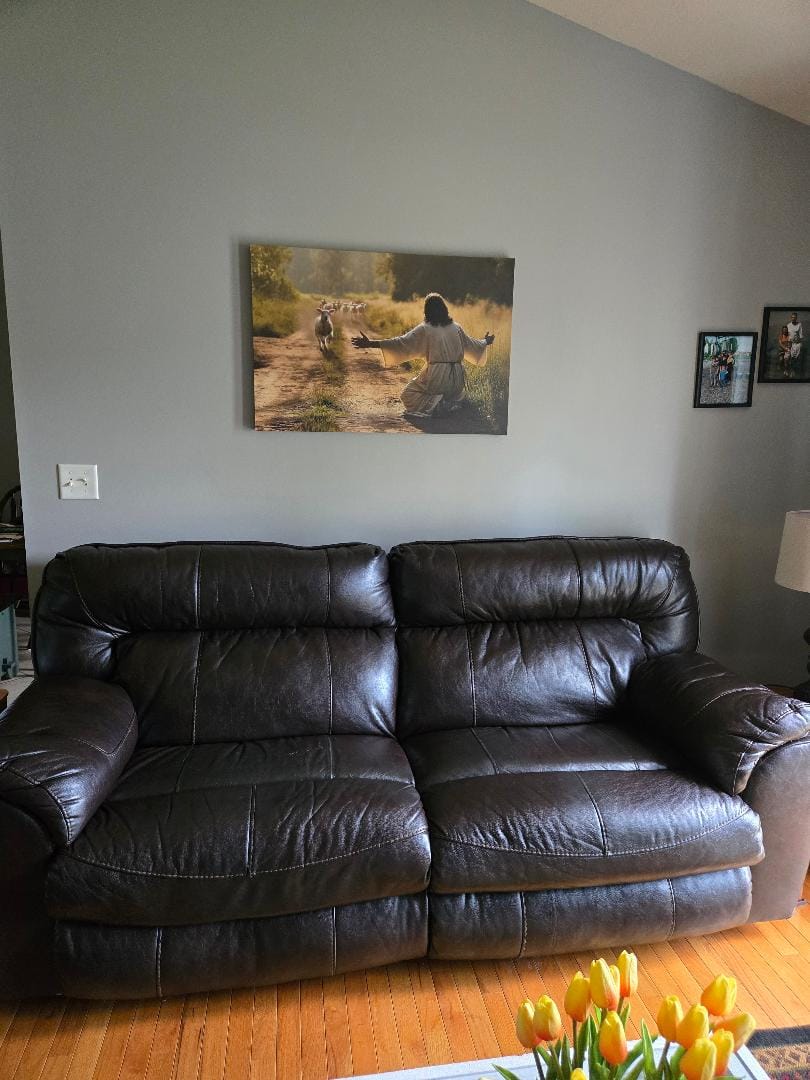 Customer photo review of Lamb Runs to Jesus Wall Art Canvas