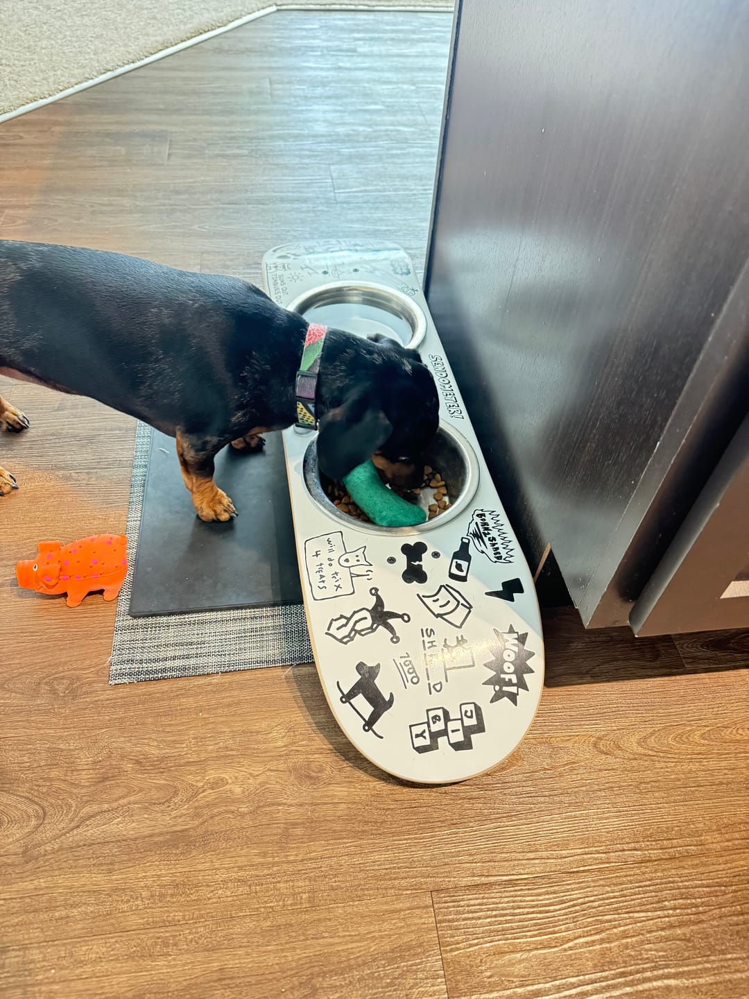Customer photo review of Doodle Skateboard Dog Bowl