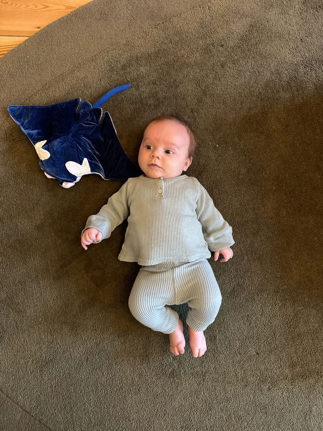 Customer photo review of Blue Manta Ray Soft Stuffed Plush Toy