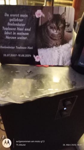 Customer photo review of Hunde Gedenktafel mit Foto & Spruch (UV- & Wetterfest)