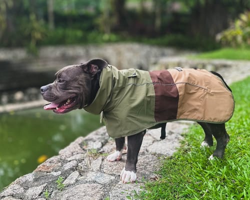 Customer photo review of Breatheshield™ Dog Raincoat - Green Brown Tan