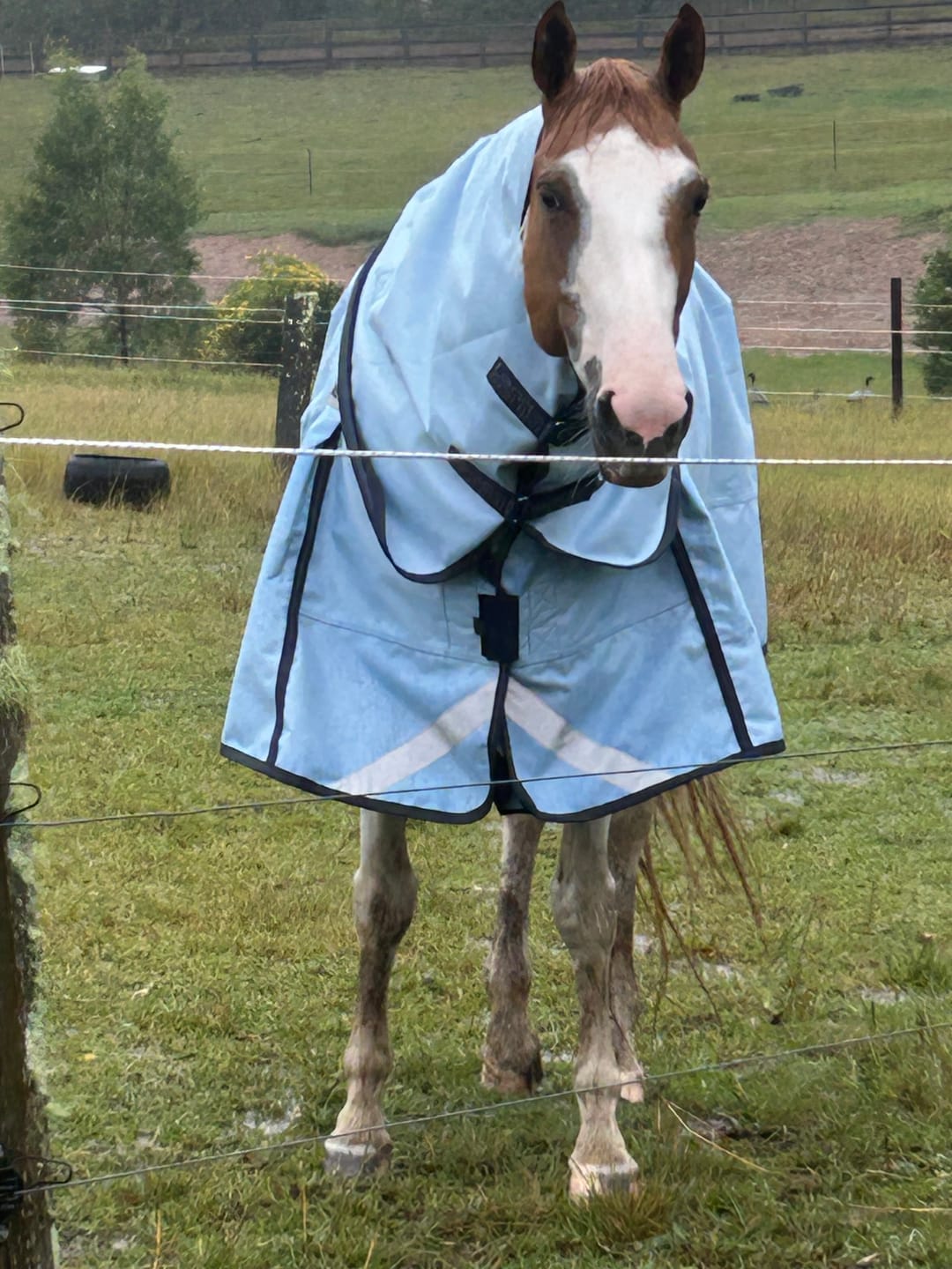 Customer photo review of LE Boxter Turnout 0g