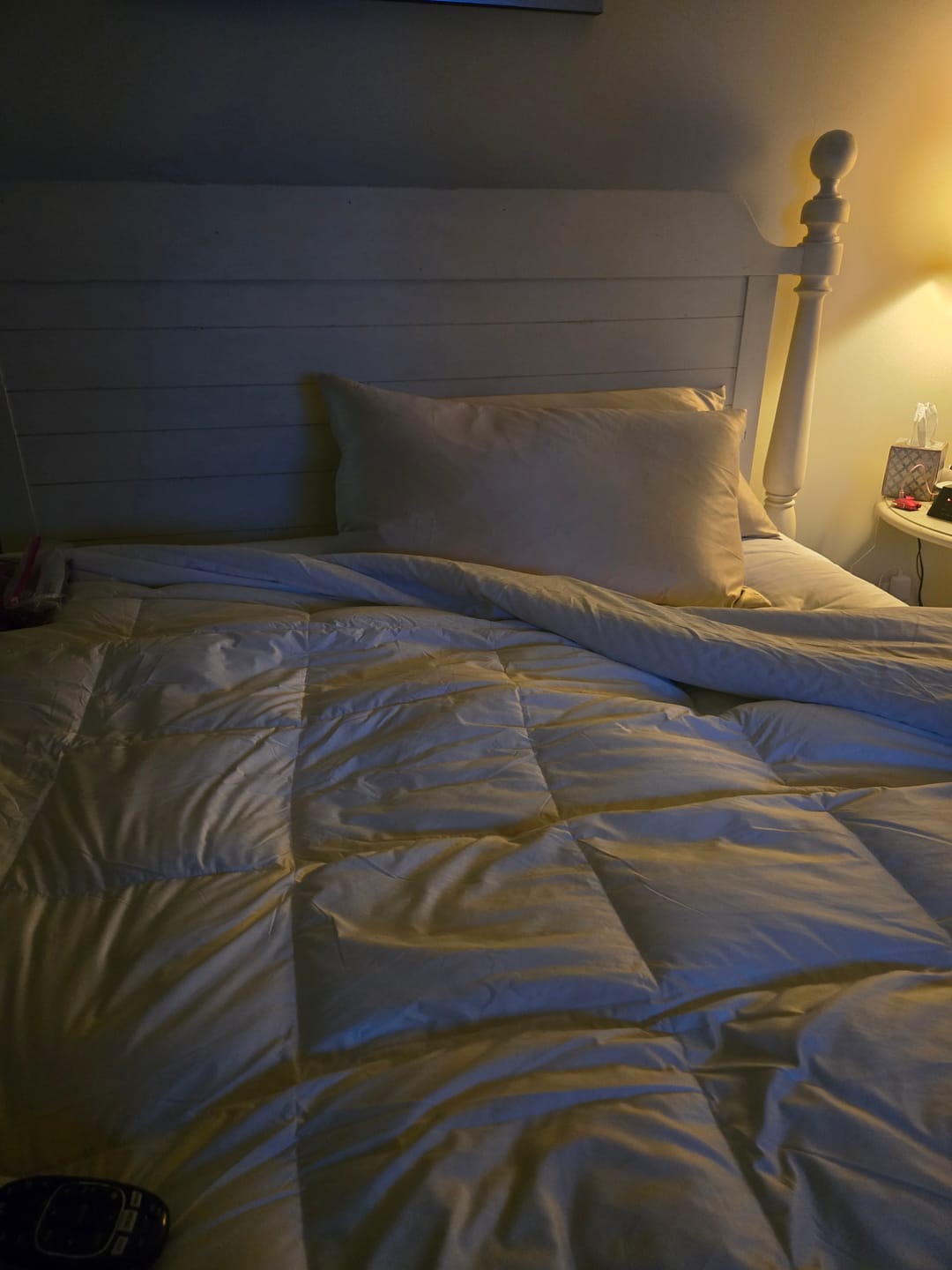 Customer photo review of Deluxe Silk Goose Down Comforter