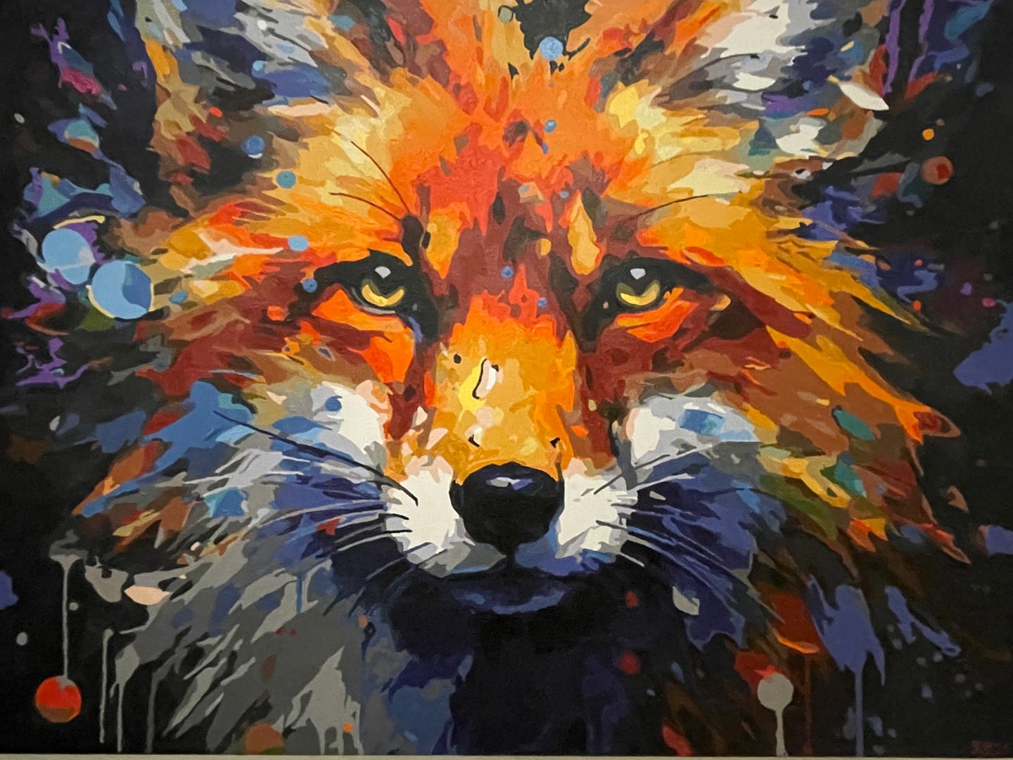 Customer photo review of Inquisitive Fox