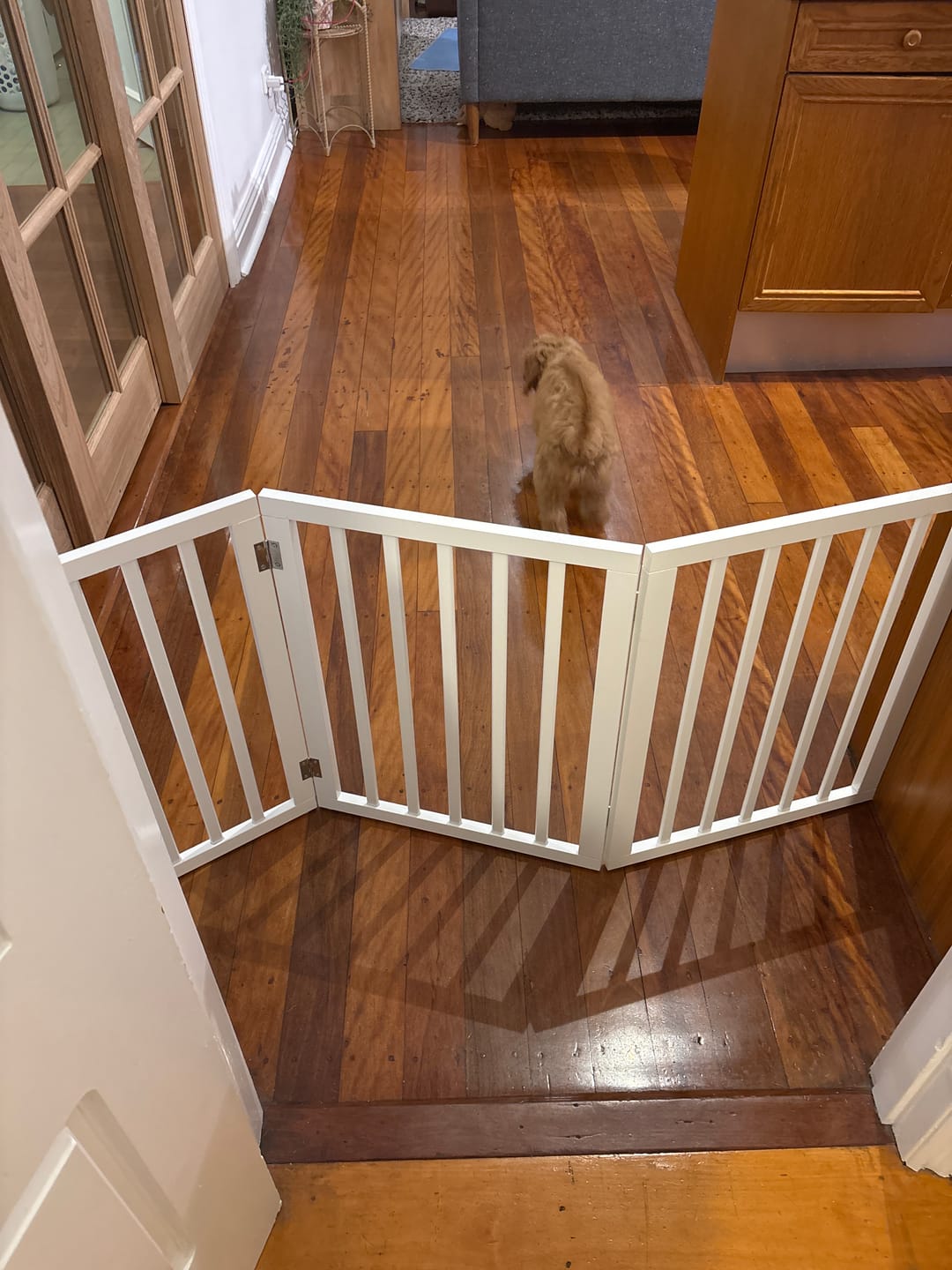 Customer photo review of Pawz Wooden Pet Gate