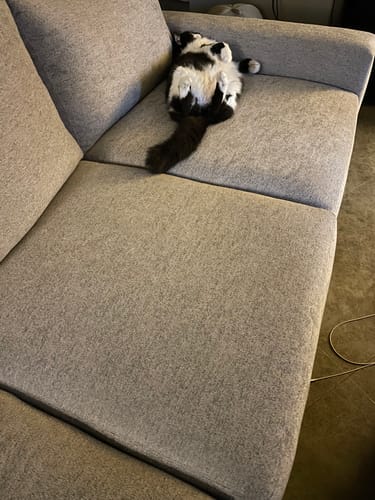 Customer photo review of Mas Mesa 101" Deep Estate Sofa