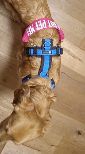 Customer photo review of Longline Handle