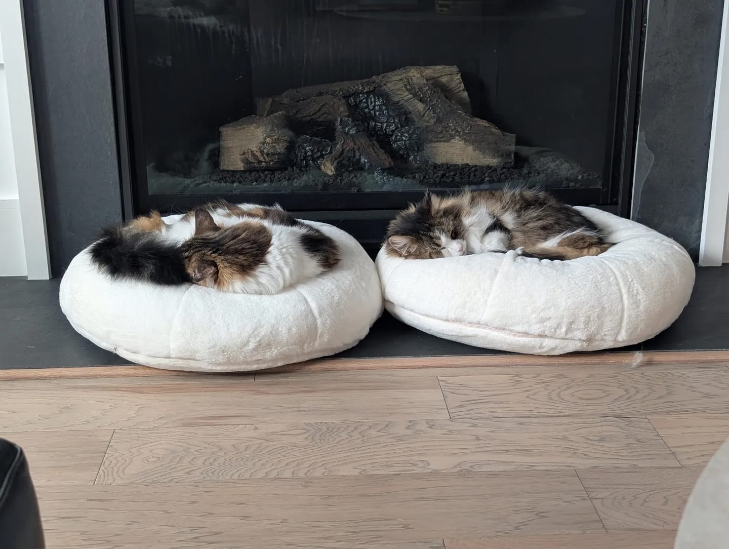 Customer photo review of Sourdough Pudding Bed