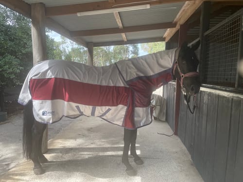 Customer photo review of LE Boxter Hybrid Mack Turnout 0g