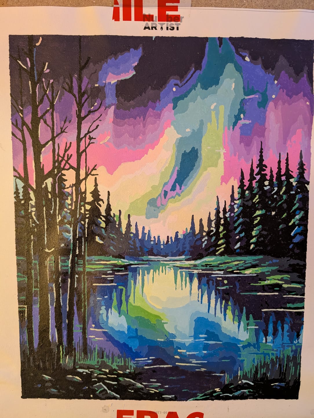 Customer photo review of Aurora Lake Silence