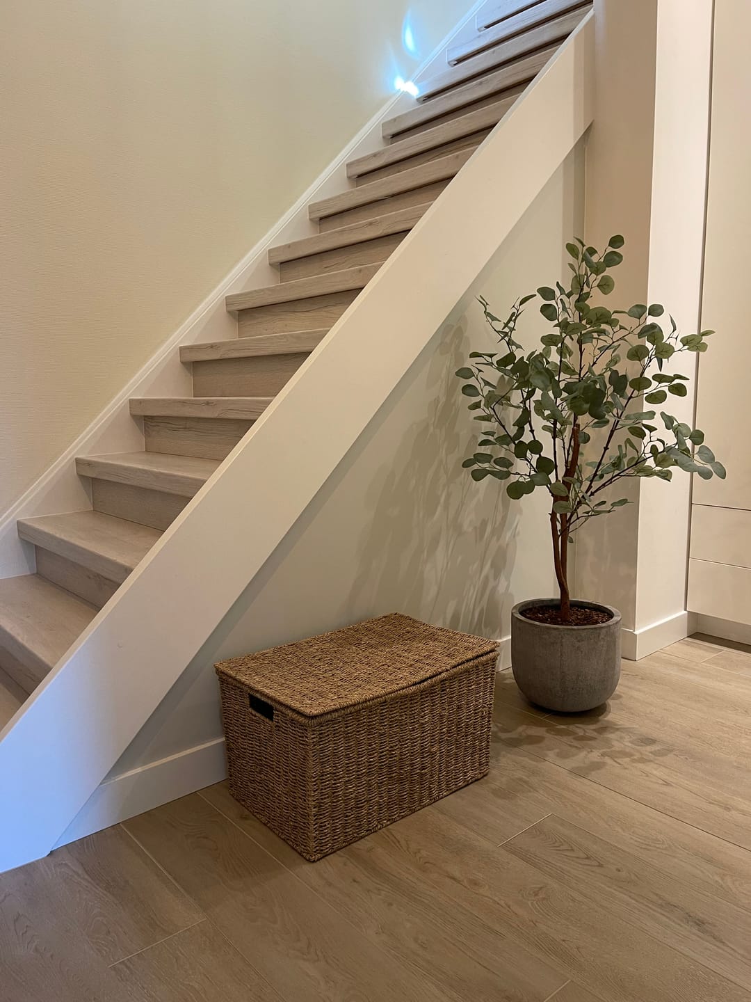 Customer photo review of Eucalyptus Kunstboom 120cm