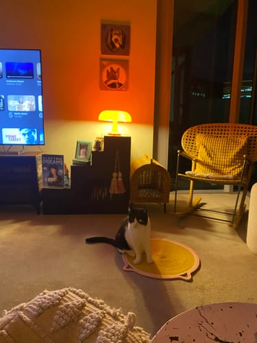 Customer photo review of Puffball Lamp | Blood Orange