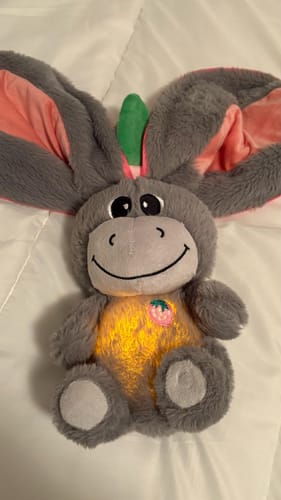 Customer photo review of Atmender Esel-Plüsch
