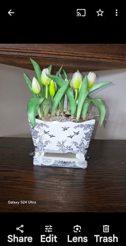 Customer photo review of Bulk Lifelike Potted Artificial Tulips Artificial Tulips in Pot Bonsai Wholesale