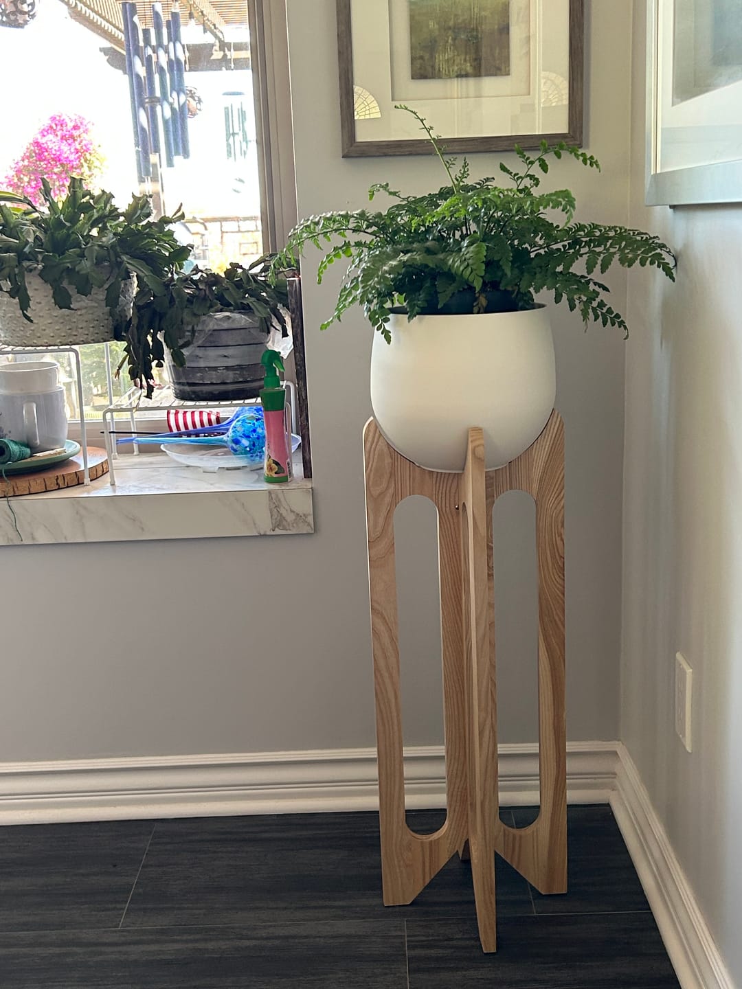 Customer photo review of Arches Plant Stand + Pot