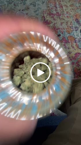 Customer video review of MJ Mints Smalls