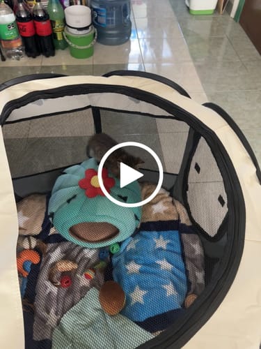 Customer video review of CT1637 1 Pieza De Casa De Mascota Portátil Jaula