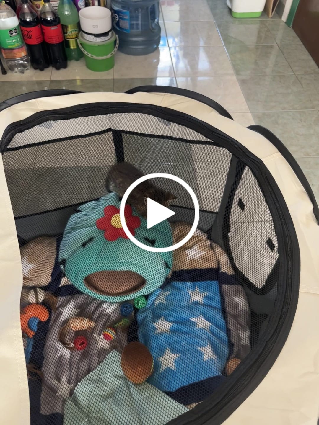 Customer video review of CT1637 1 Pieza De Casa De Mascota Portátil Jaula