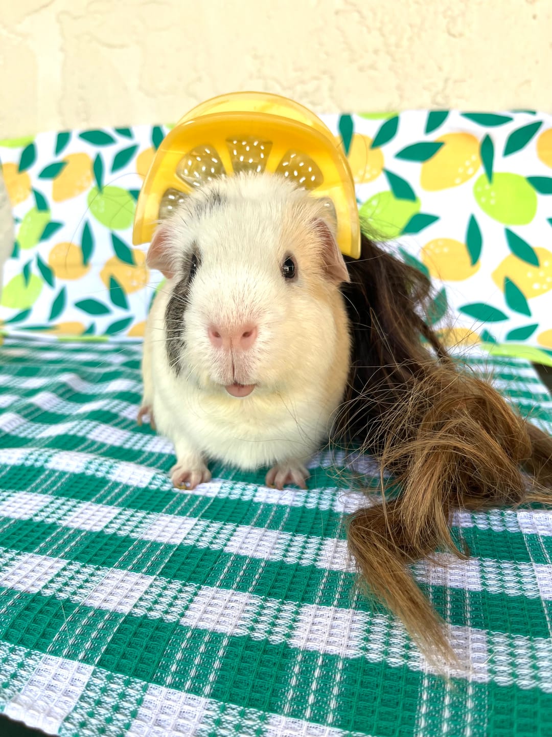 Customer photo review of Midi Lemon Hair Claw Clip