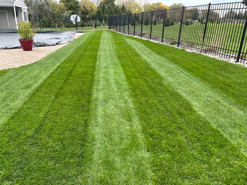 Customer photo review of GCI Turf Spreader Elite Grass Seed