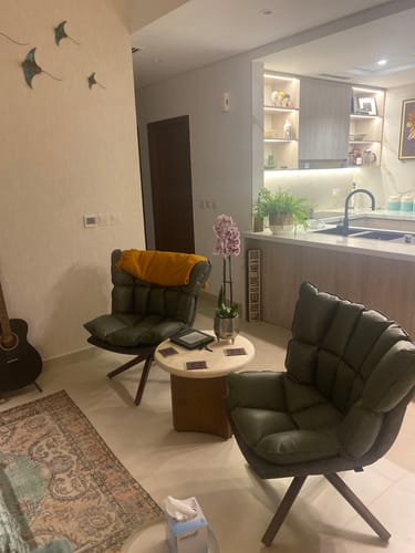 Customer photo review of Lille Lounge Chair Lc005 Grn8016