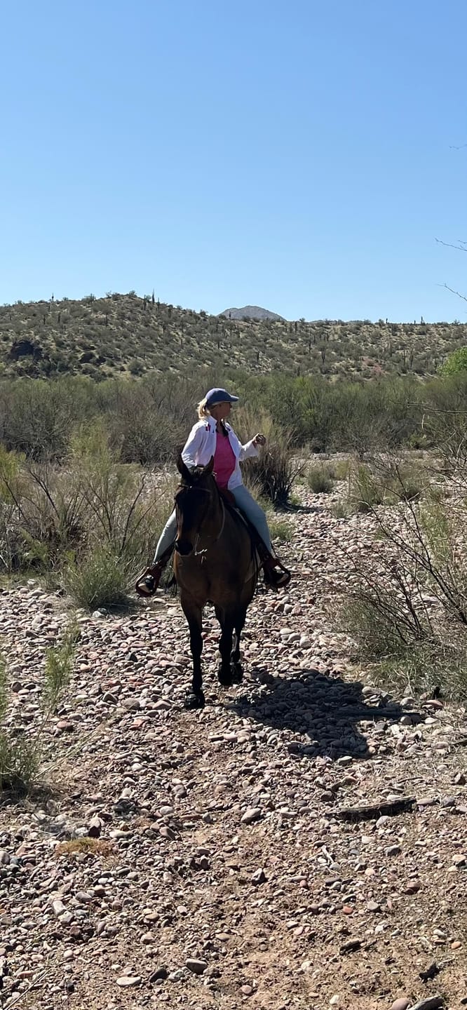 Customer photo review of Renegade® Classic Hoof Boots - Black Knight