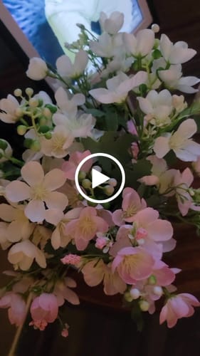 Customer video review of Bulk 13" Small Cherry Blossom Bush Artificial Cherry Flowers Wholesale