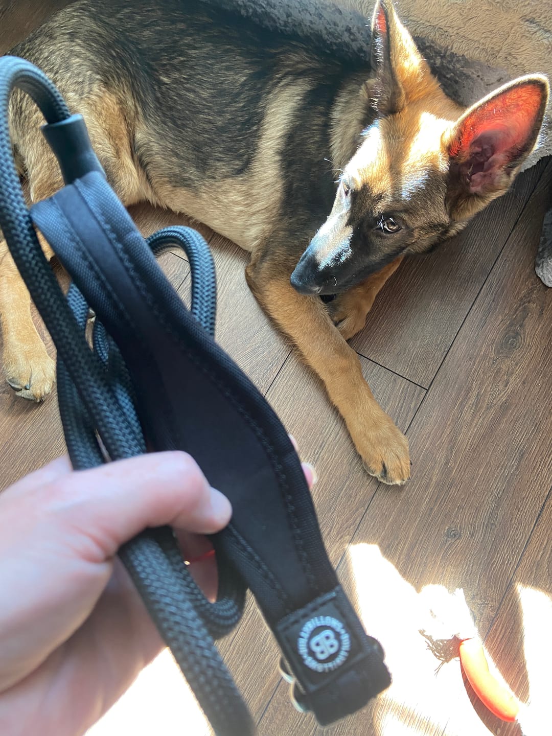 Customer photo review of Slip Training Lead | Anti Pull & No Choking -  Black