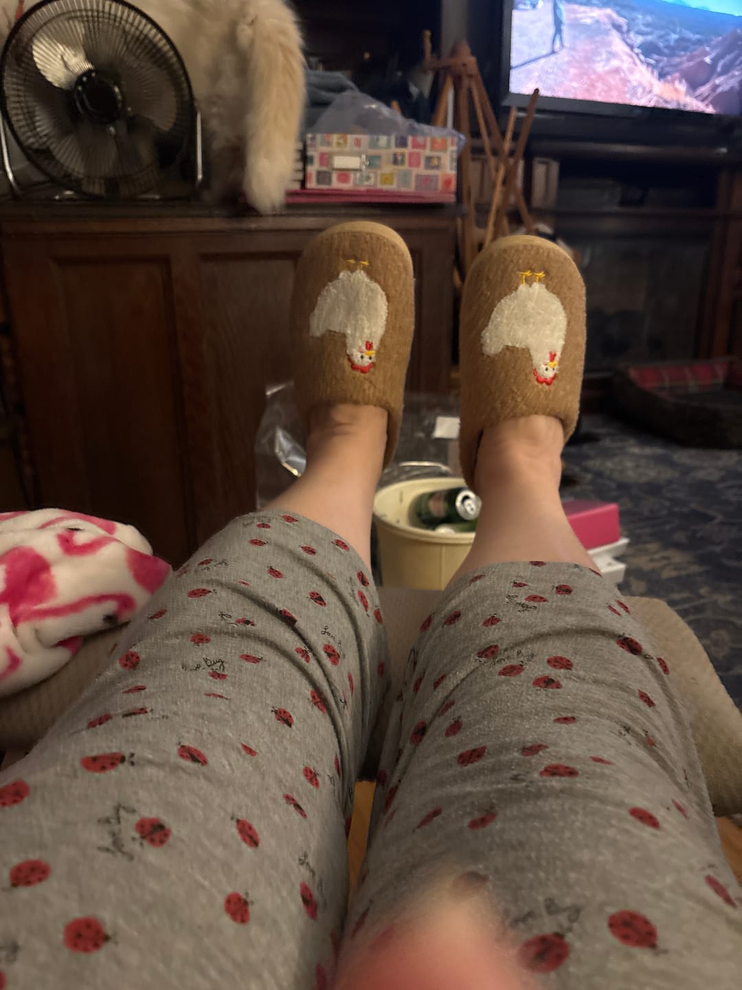 Customer photo review of Brown Fuzzy Chicken Slippers - Adult