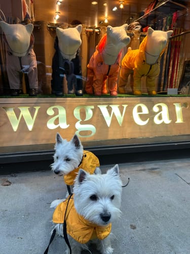 Customer photo review of WagWellies® by wagwear