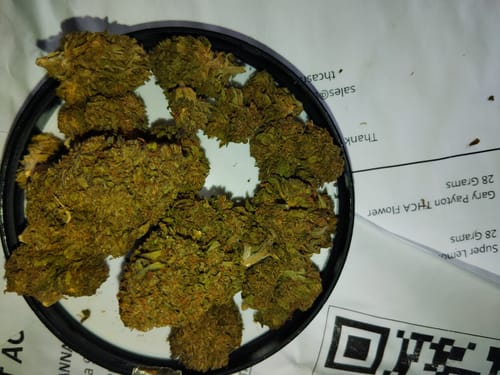 Customer photo review of Gary Payton THCA Flower