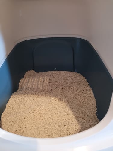 Customer photo review of Naturreines Katzenstreu