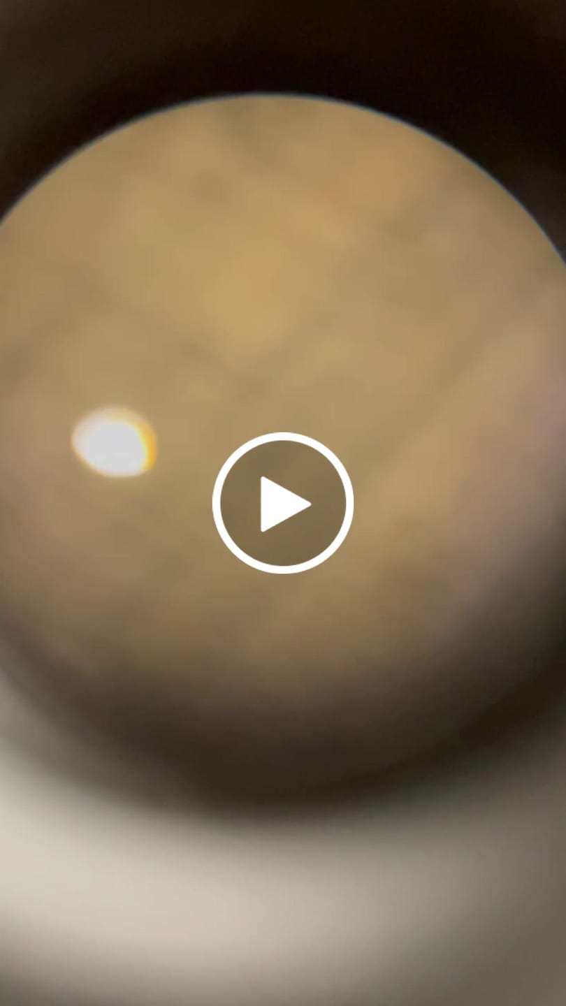 Customer video review of TideWe Camo Deer Hunting Rangefinder 700/1000Y Laser Range Finder