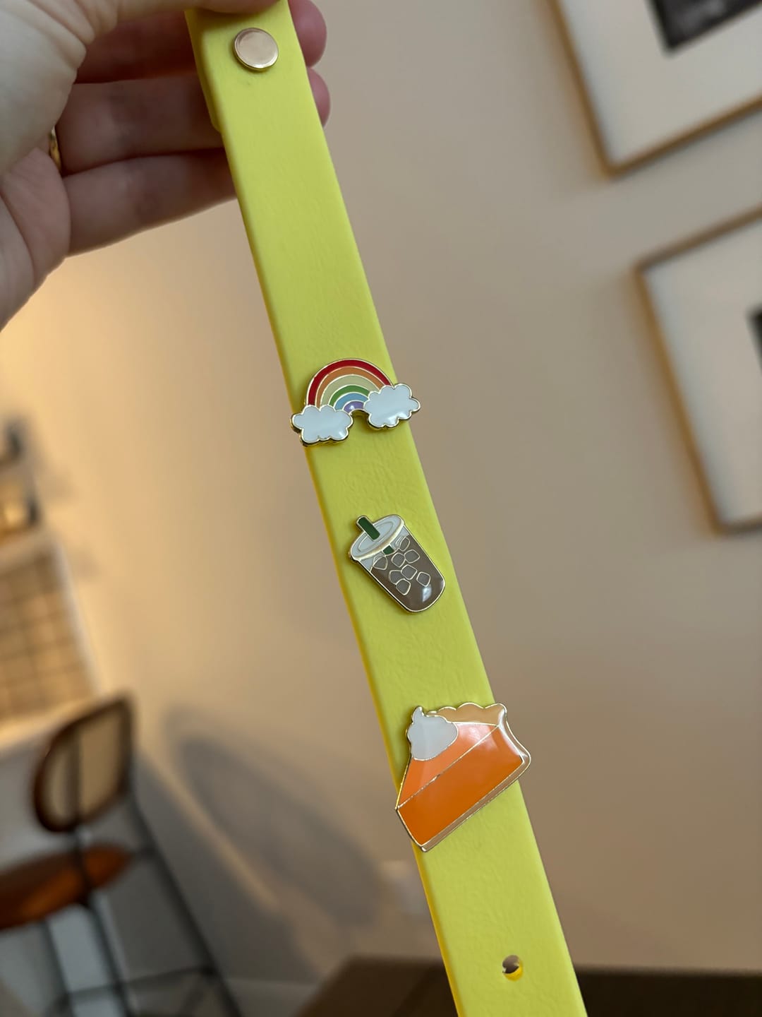 Customer photo review of Moodies 4-in-1 Leash