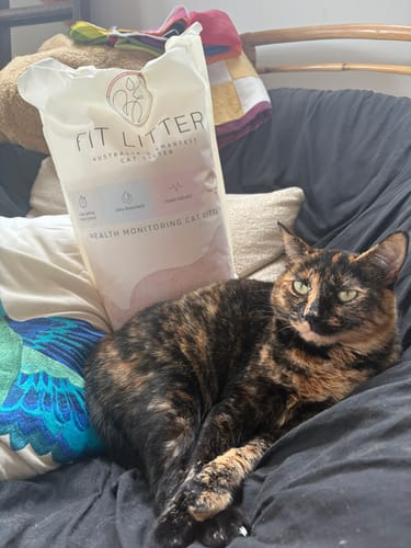 Customer photo review of 3 Month Supply - 1 Cat