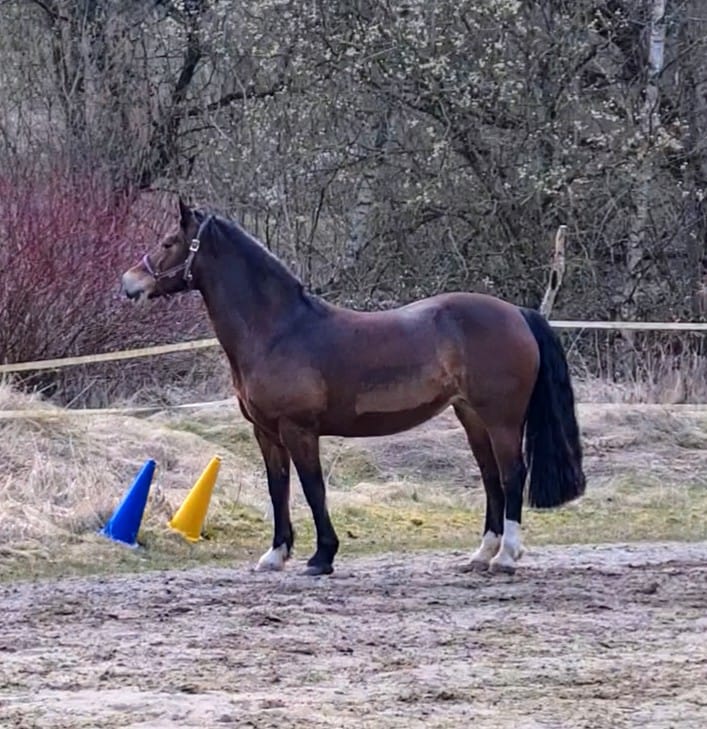 Customer photo review of Kristallkraft No2