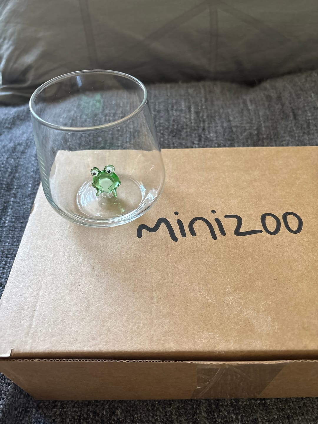 Customer photo review of Frog Glass
