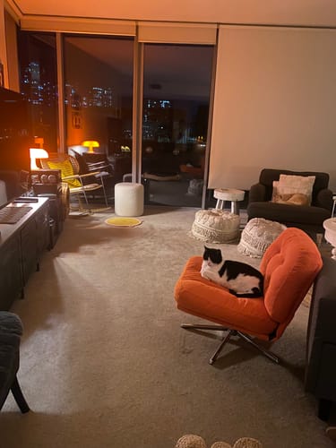 Customer photo review of Puffball Lamp | Blood Orange