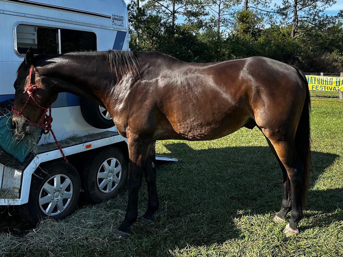 Customer photo review of Digestive HP