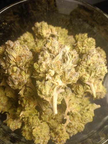 Customer photo review of Bulk Indoor THCA Smalls