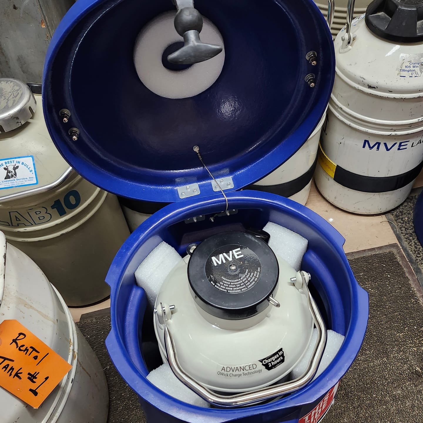 Customer photo review of MVE LEGACY SC 4/3 V Vapor Shipper - 120 straws for 3 weeks