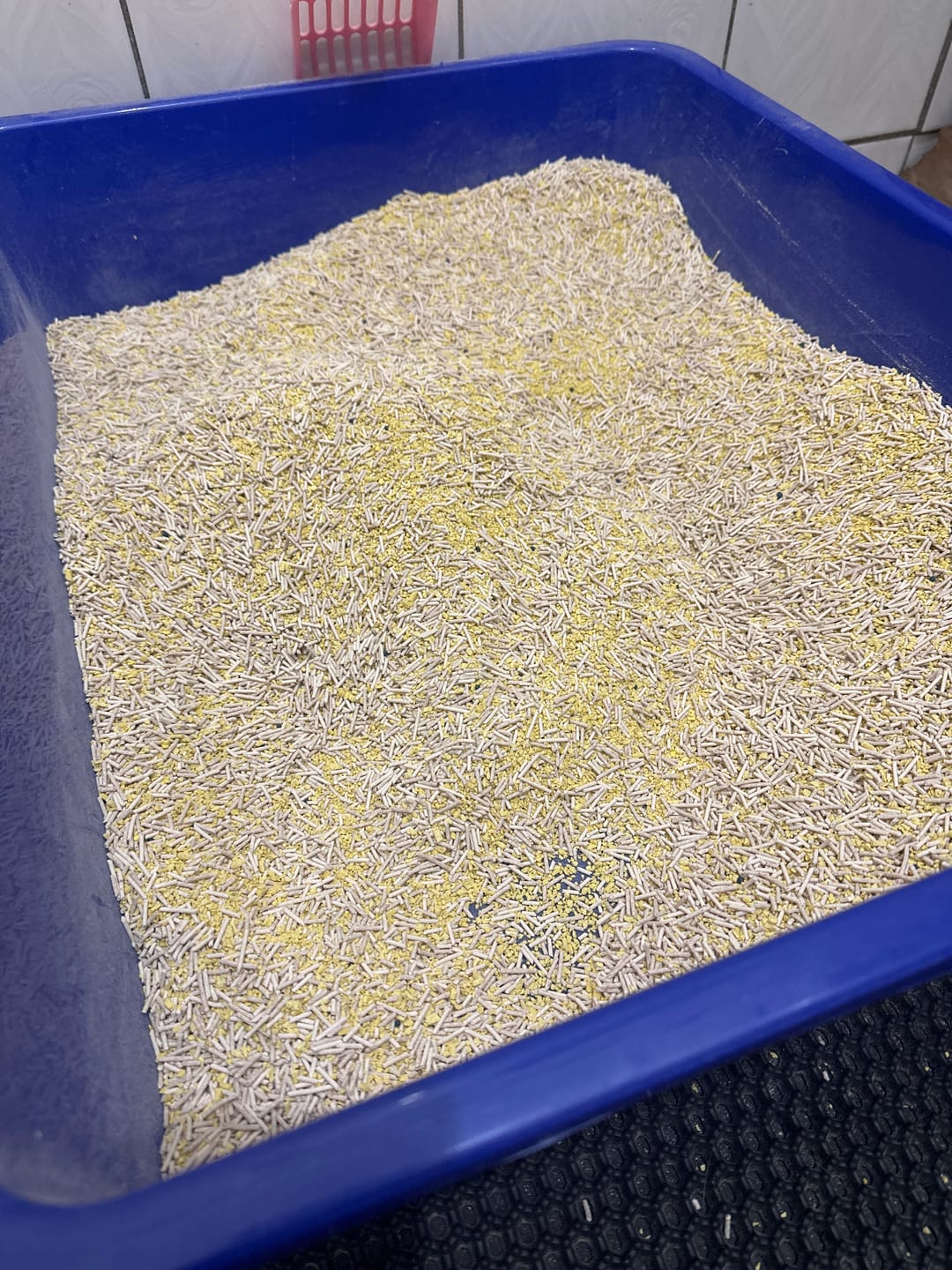 Customer photo review of 【庫存用】五吉貓 科學小米貓砂 2.5KG單包