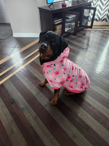 Customer photo review of Blossom Dog Hoodie - Pink