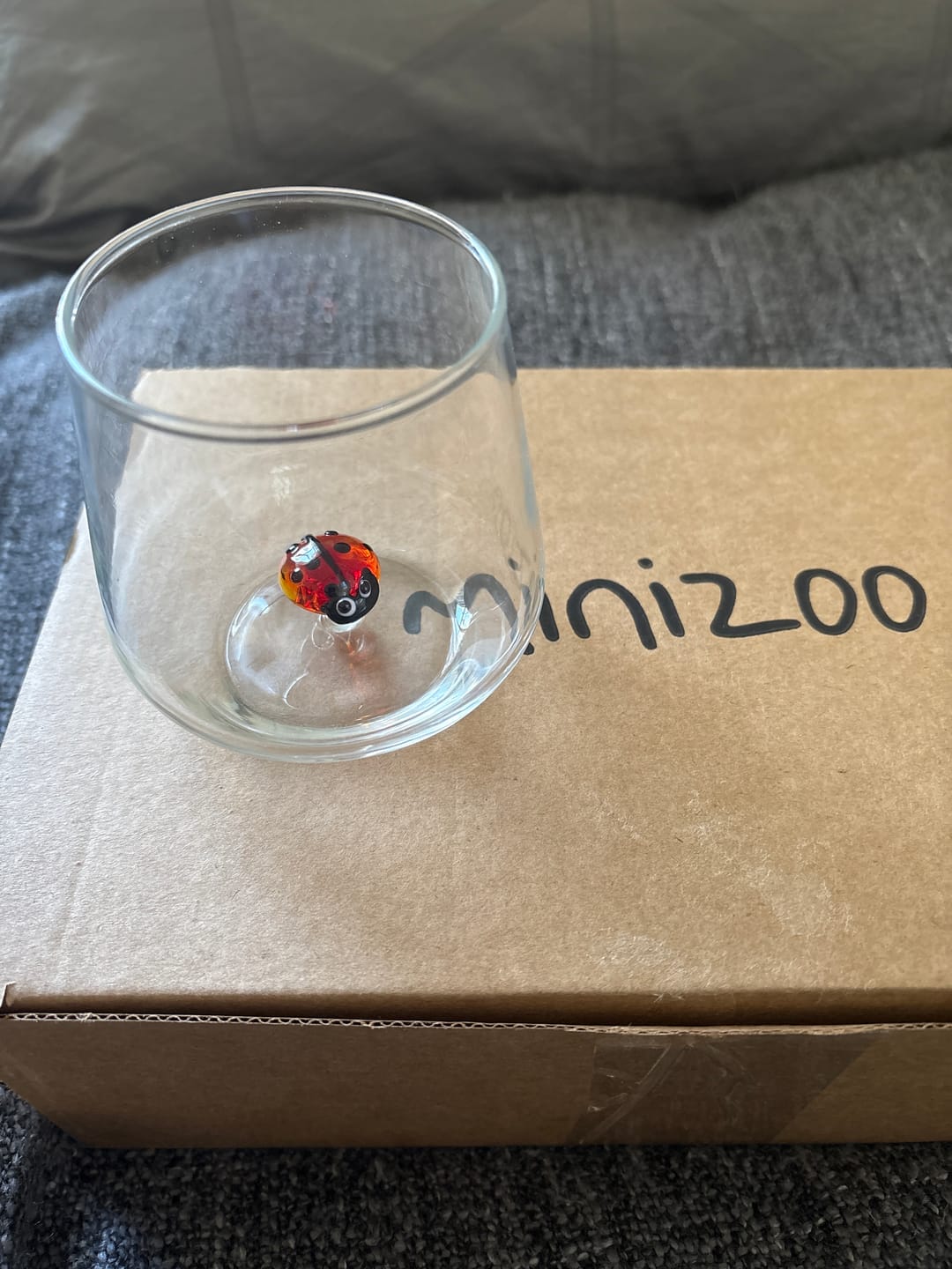 Customer photo review of Ladybug Glass