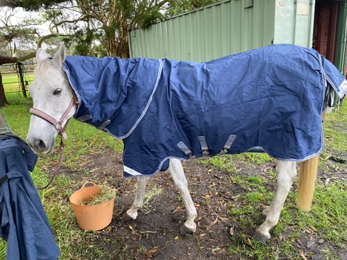 Customer photo review of Rhino Plus Turnout 0g