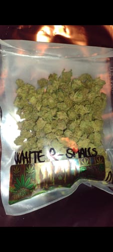 Customer photo review of White Runtz - Greenhouse THCA (Smalls)