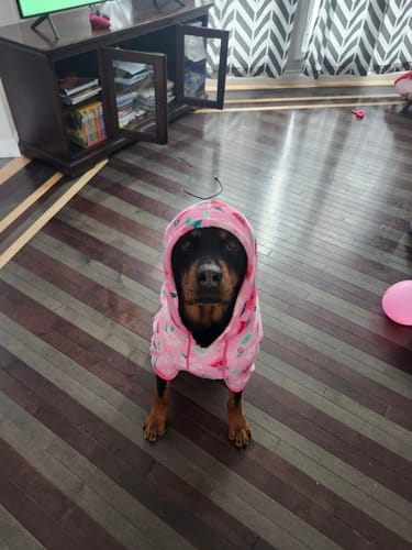 Customer photo review of Blossom Dog Hoodie - Pink