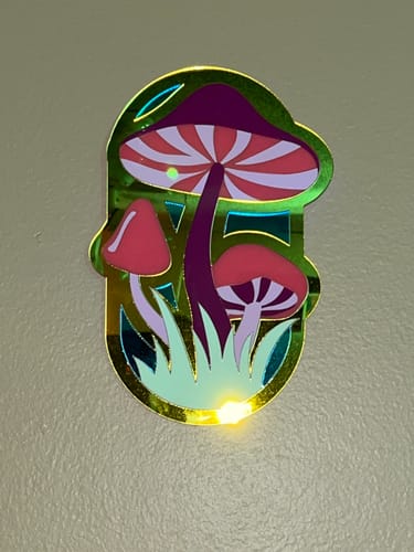 Customer photo review of Mushroom Wall Art