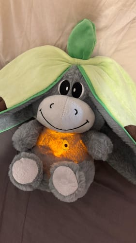 Customer photo review of Atmender Esel-Plüsch